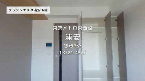 動画
