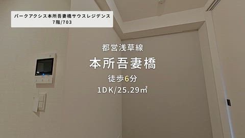 動画
