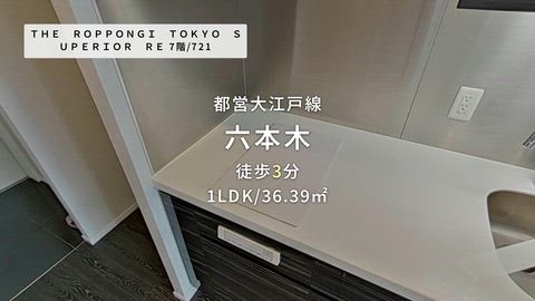 動画