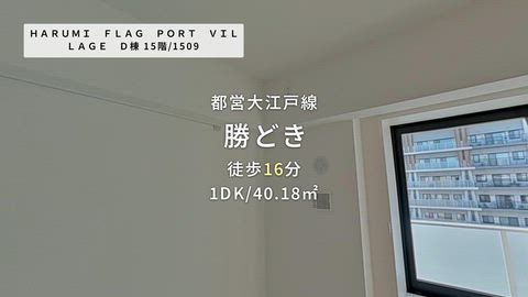 動画