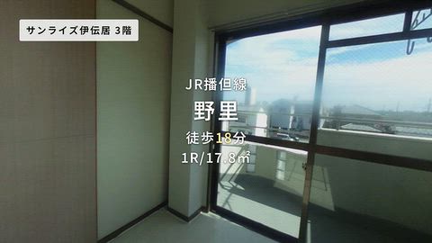 動画