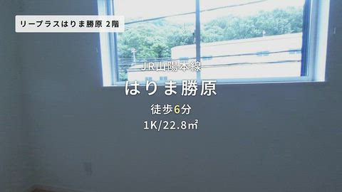 動画