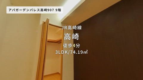 動画