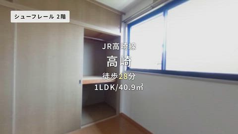 動画