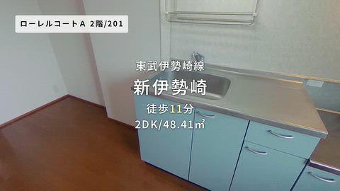 動画
