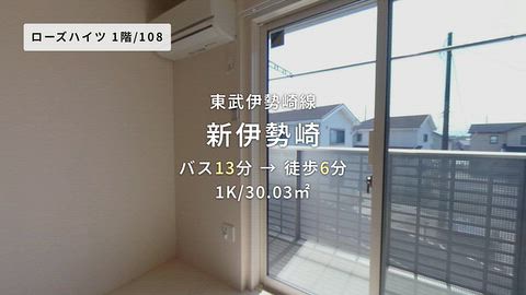動画