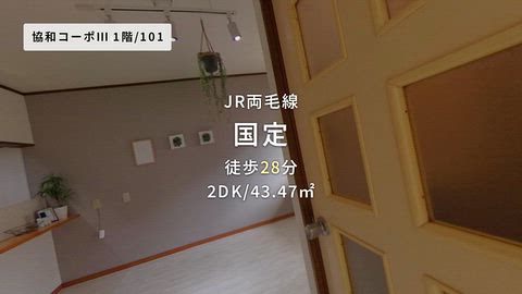 動画
