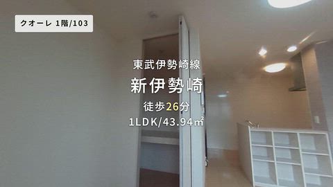動画