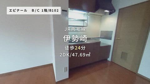 動画
