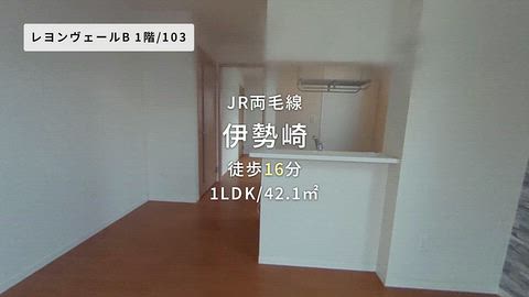 動画