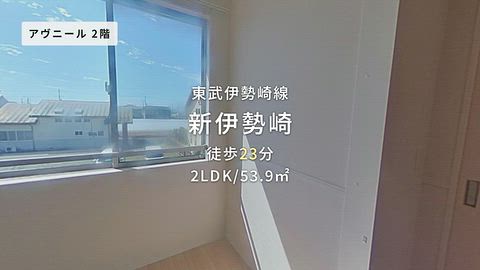 動画