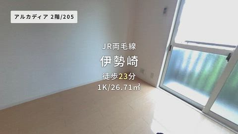 動画