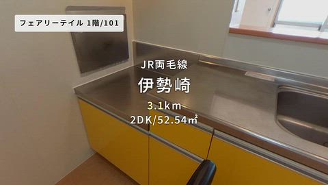 動画