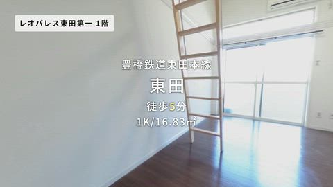 動画