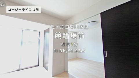 動画
