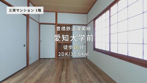 動画