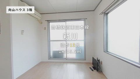 動画