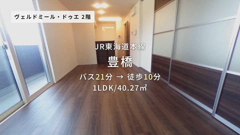 動画