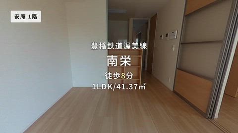 動画