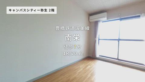 動画