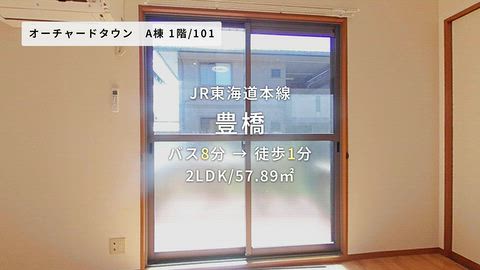動画