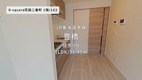 動画