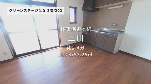 動画