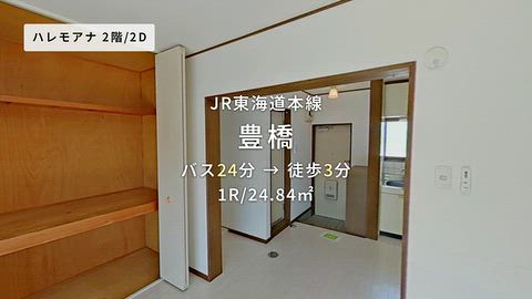 動画