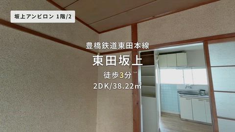 動画
