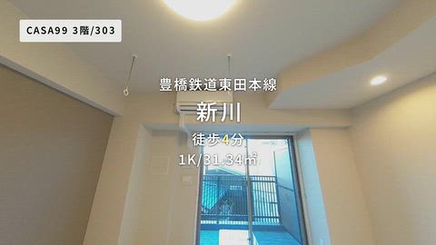 動画