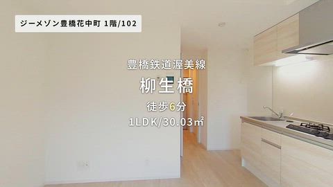 動画