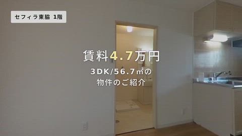 紹介ムービー