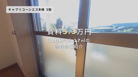 紹介ムービー