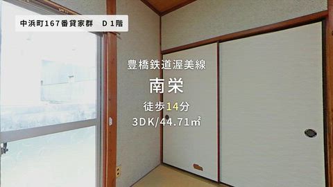 動画