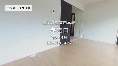 動画