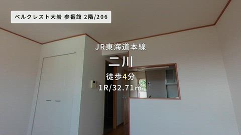 動画