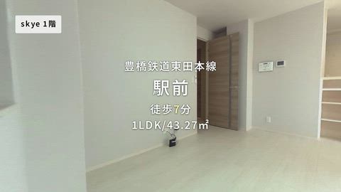 動画