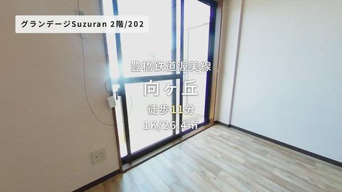 動画