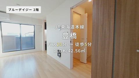 動画