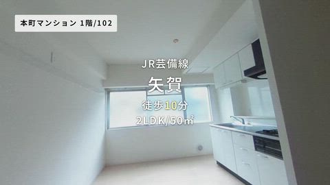 動画
