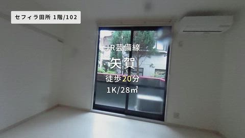 動画
