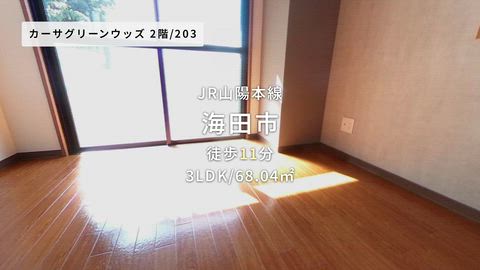 動画
