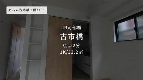 動画