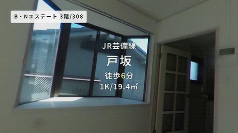 動画