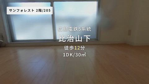 動画