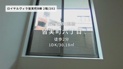 動画