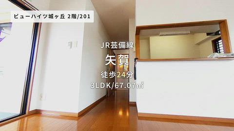 動画