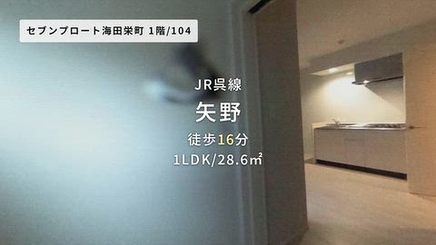 動画