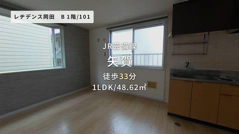 動画