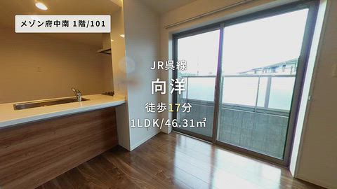動画